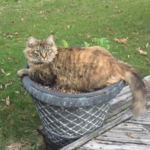 Meet your Posher, Courtney